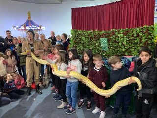 Jungle Shows at Citywest Shopping Centre – Round-Up Post!