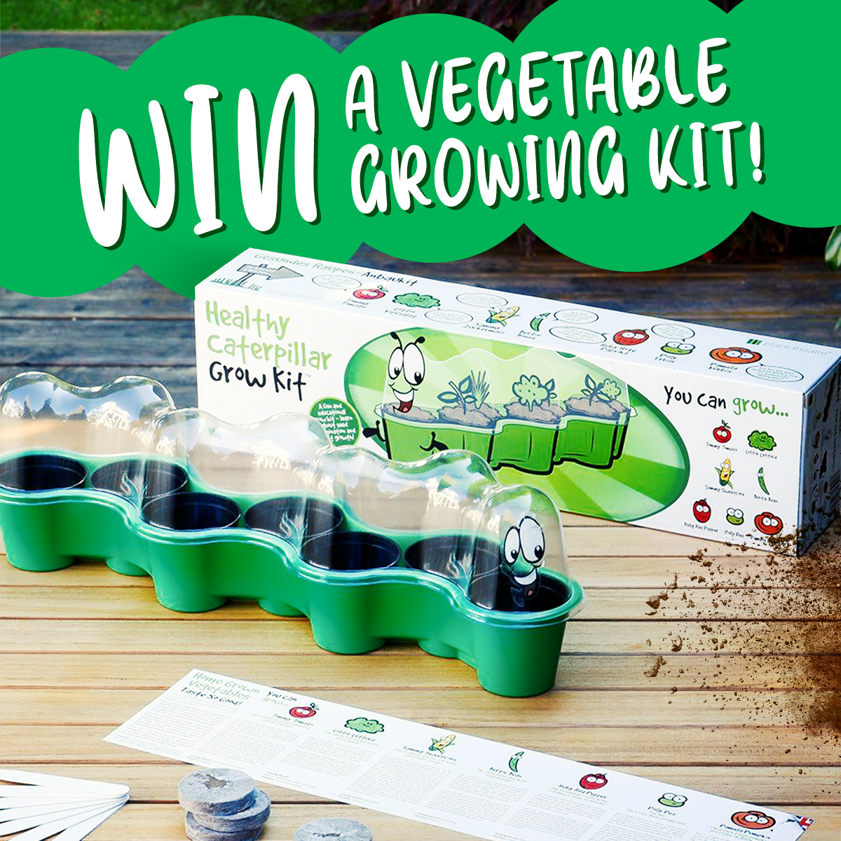 Competition: Win 1 of 20 Vegetable Growing Kits!